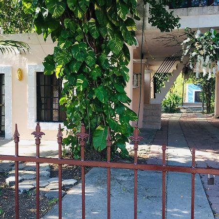 Hostal Y Camping Villa Mercedes Tizimín Exterior foto